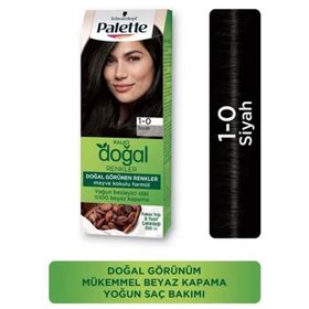 Palette PNC 1-0 Siyah Saç Boyası