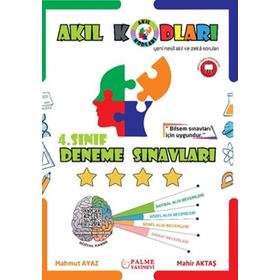 Palme Yayınları 4. Sınıf Akıl Kodları Deneme Sınavı