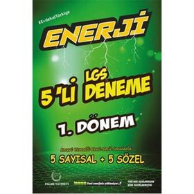Palme Yayınları 8. Sınıf LGS 1. Dönem Enerji 5'li Deneme