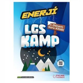 Palme Yayınları 8. Sınıf LGS Kamp 1. Dönem Enerji Soru Kitabı