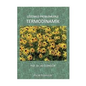 Palme Yayınları Çözümlü Problemlerle Termodinamik