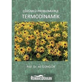 Palme Yayınları Çözümlü Problemlerle Termodinamik