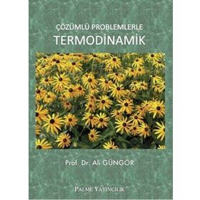 Palme Yayınları Çözümlü Problemlerle Termodinamik