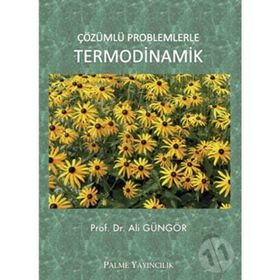 Palme Yayınları Çözümlü Problemlerle Termodinamik