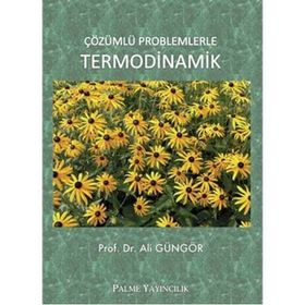 Palme Yayınları Çözümlü Problemlerle Termodinamik