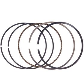 Palmera Dm460219 Çim Biçme Makinesi Segman Takımı