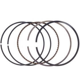 Palmera Dm460219 Çim Biçme Makinesi Segman Takımı