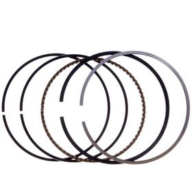 Palmera Dm510209 Çim Biçme Makinesi Segman Takımı