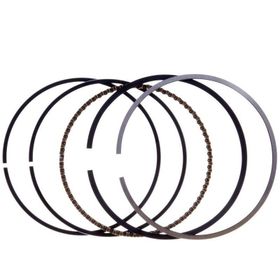 Palmera Dm510209 Çim Biçme Makinesi Segman Takımı