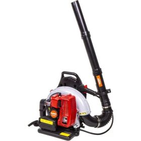 Palmera Eb - 985 5.0 Hp Yaprak Üfleme Makinesi
