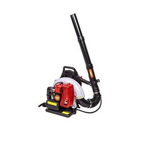 Palmera Eb - 985 5.0 Hp Yaprak Üfleme Makinesi