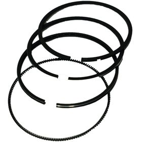Palmera HP17805100 78 mm Segman Takımı