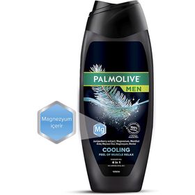 Palmolive Men Cooling 4'ü 1 Arada Magnezyum ve Mentollü 500 ml Duş Jeli
