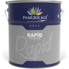 Pamukkale Rapid Mat Siyah 2.5 kg Endüstriyel Boya