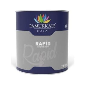 Pamukkale Rapid Mavi 15 kg Boya