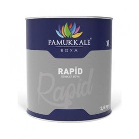 Pamukkale Rapid Metalik Gri 2.5 kg Boya