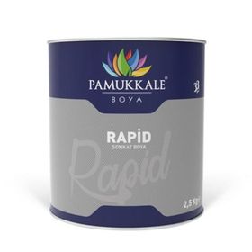 Pamukkale Rapid Ral 1015 Krem 2.5 kg Boya