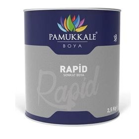Pamukkale Rapid Ral 9005 Parlak Siyah 2.5 kg Metal Yüzey Boyası