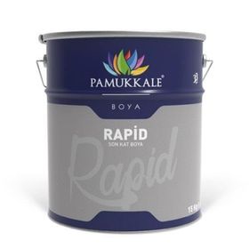 Pamukkale Rapid Ral 9005 Siyah 15 kg Boya