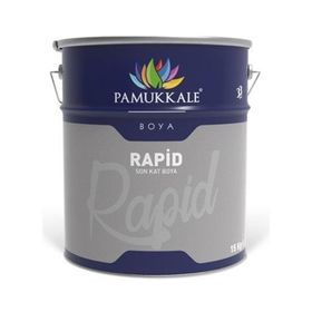 Pamukkale Rapid Siyah 2.5 kg Endüstriyel Boya
