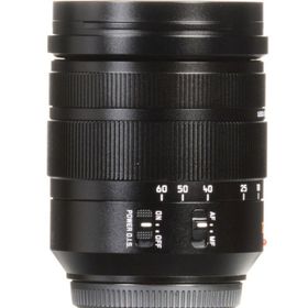 Panasonic Leica DG Vario-Elmarit 12-60 mm f/2.8-4 ASPH Lens