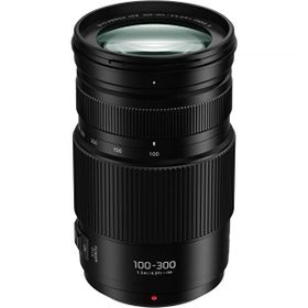 Panasonic Lumix G Vario 100-300 mm f/4-5.6 II Power Ois Lens