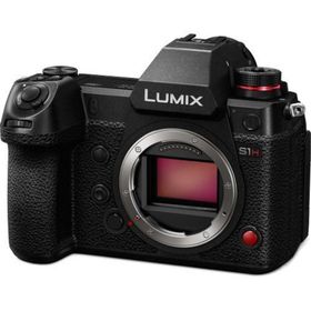 Panasonic Lumix S DC-S1 Body Aynasız Fotoğraf Makinesi