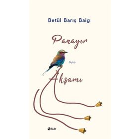 Panayır Akşamı - Betül Barış Baig