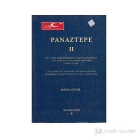 Panaztepe 2 - Sevinç Günel