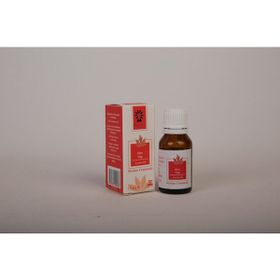 Panlife 10 ml Hint Yağı