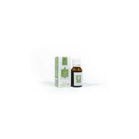 Panlife 15 ml Avakado Yağı