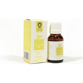 Panlife 15 ml Çuha Çiçeği Yağı