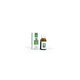 Panlife 15 ml Elemi Yağı
