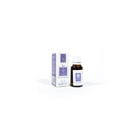 Panlife 15 ml Lavanta Yağı