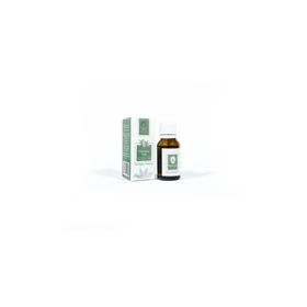 Panlife 15 ml Okaliptus Yağı