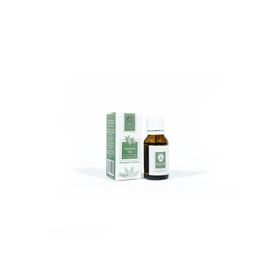 Panlife 15 ml Okaliptus Yağı