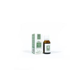 Panlife 15 ml Okaliptus Yağı
