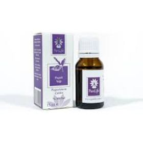 Panlife 15 ml Paçuli Yağı
