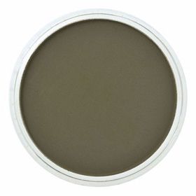 Panpastel No:680.1 Bright Yellow Green Extra Dark Pastel Boya