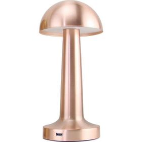 Panther PT-700 Rose Gold USB Şarjlı Masa Lambası