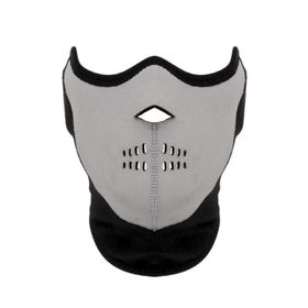 Panthzer Todorka Gri Maske
