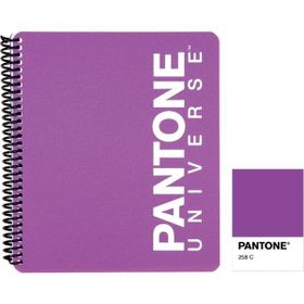 Pantone 93004-6 PP Kapak Large Boy Mor Çizgili Defter