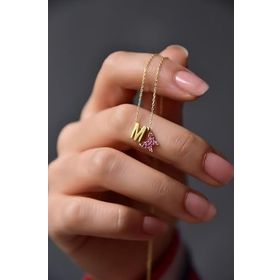 Papatya Silver 925 Ayar Gold Kaplama Harf Minimal Fuşya Zirkon Taşlı Kelebek Kadın Gümüş Kolye