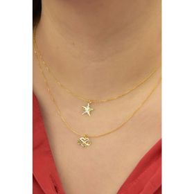 Papatya Silver 925 Ayar Gümüş Altın Kaplama Kristal Kesim Kalp Sonsuzluk ve Yıldız Asansörlü Kolye