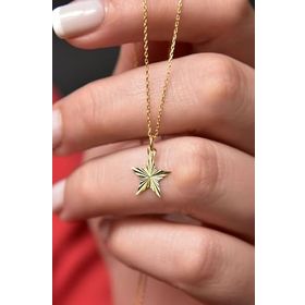 Papatya Silver 925 Ayar Gümüş Altın Kaplama Kristal Kesim Yıldız Kadın Kolye