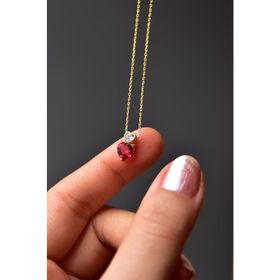 Papatya Silver 925 Ayar Gümüş Gold Kaplama Çift Kalp Montürlü Kolye
