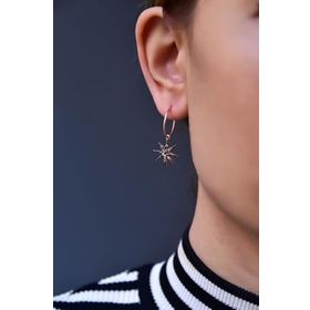 Papatya Silver 925 Ayar Gümüş Rose Kaplama Mix Taşlı Kutup Yıldızı Halka Küpe