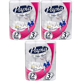 Papia Decor Modanon Başkentleri Desenli 12'li Kağıt Havlu (2 adet)