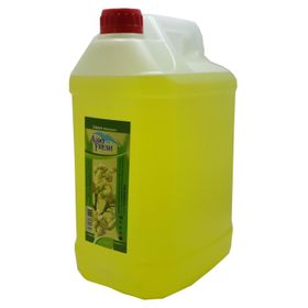 Paradise 5 lt 60 Derece Limon Kolonyası