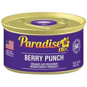 Paradise Air Berry Punch 42 gr Oda ve Araba Kokusu